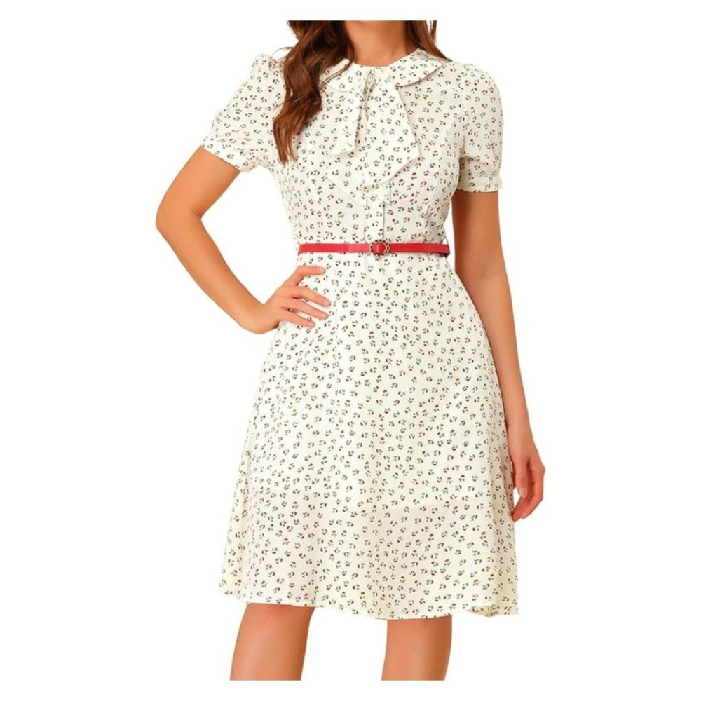 Peter Pan Collar Tie Dress